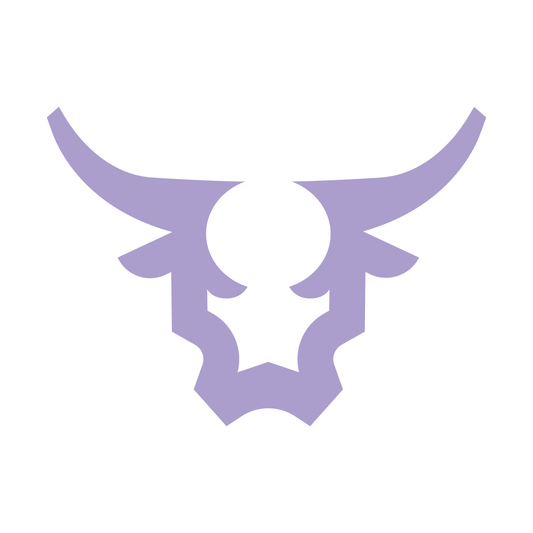 12U Lehi Longhorns